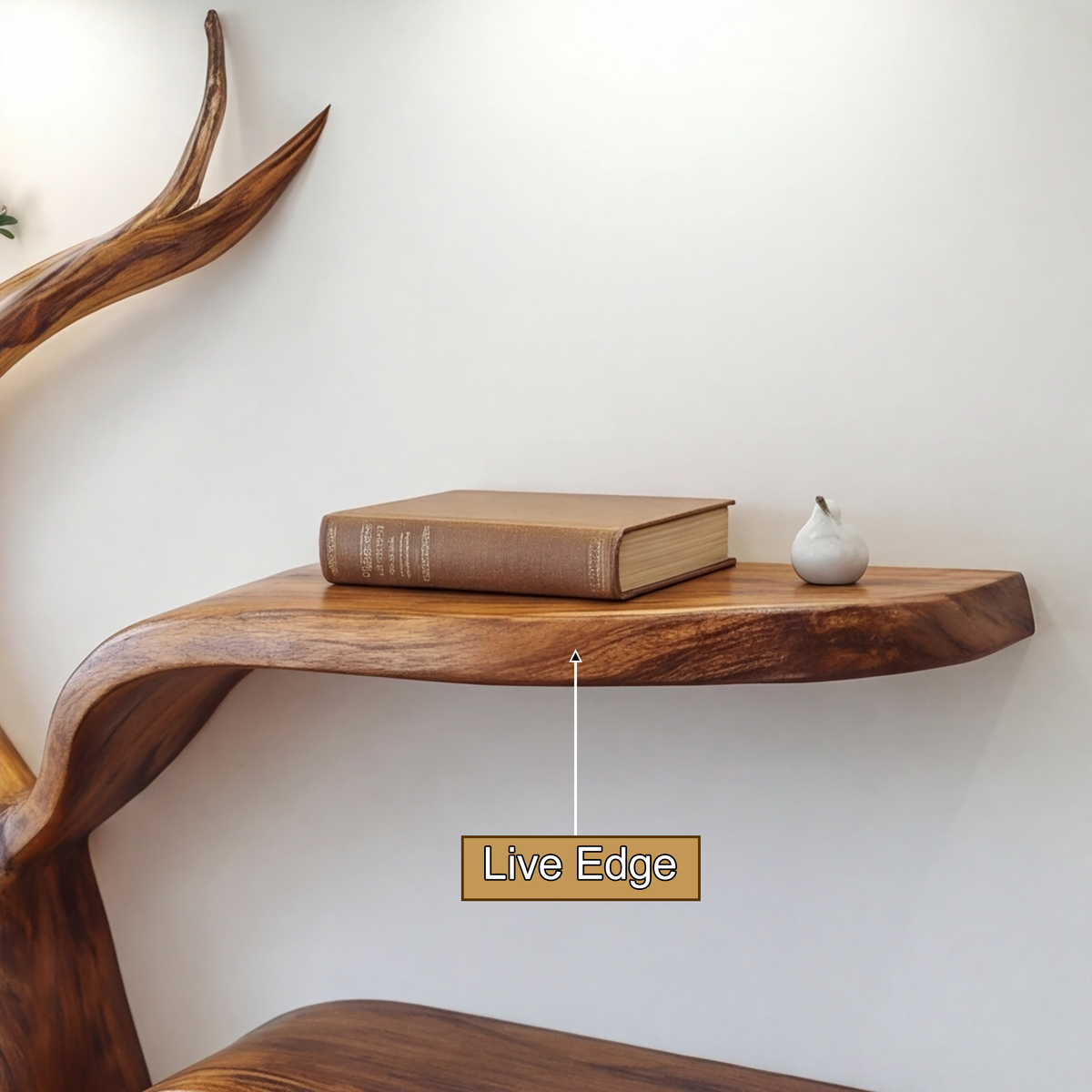 Sylvara Flow Handcrafted Live Edge Tree Bookshelf